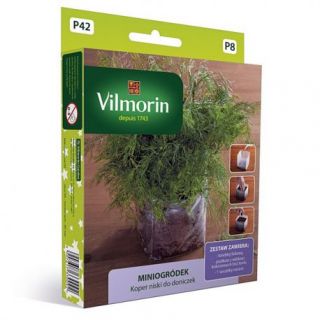 Dild - Mini garden - 1120 frø - Anethum graveolens L.