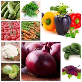 Legume pentru conserve de iarna - Set nr. 1 -  - semințe