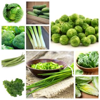Vegetais Verdes - Sementes de 10 espécies vegetais - 