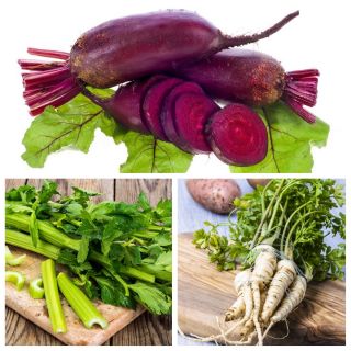 Vegetables for intercropping - Set no. 1 - seeds of 3 species