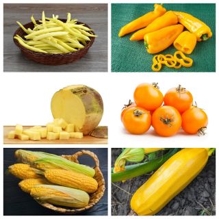 黄色野菜 -  6種類の野菜の種 -  - シーズ