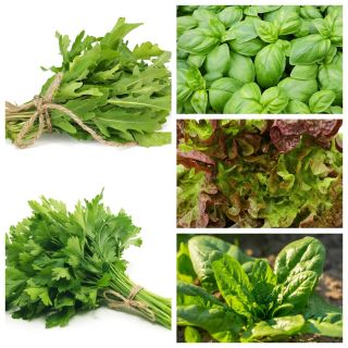 BIO-groenten - bestelnr. 3 - zaden van 15 groentesoorten - 