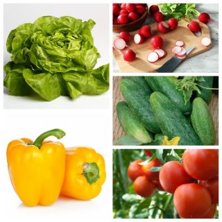 Vegetables for greenhouse cultivation - seeds of 5 plants' species