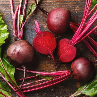 Kumbang merah "Karmazyn" - KEPUTUSAN TEPAT - Beta vulgaris var. Conditiva - benih
