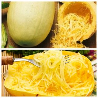 Spaghetti squash - set of seeds of 2 vegetable plants' varieties