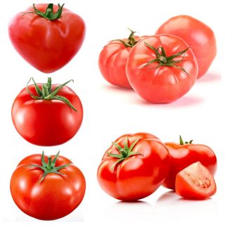 Hallon tomat - uppsättning 2 - uppsättning frön av 5 vegetabiliska växter "sorter - 