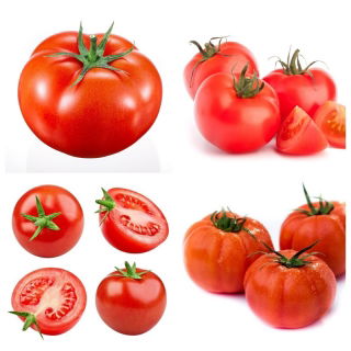 Pomodoro nano - set 2 - set di semi di 4 varietà di piante vegetali - 