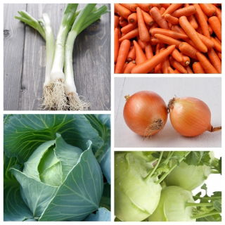 Gustoso autunno - verdure tardive - semi di 5 specie vegetali - 