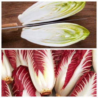 Chicory - set of seeds of 4 vegetable plants' varieties