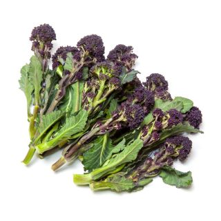 Brokkoli 'Early Purple sprießen'