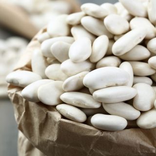 Ladang kacang 'John Cantik' - 500 g -  Phaseolus coccineus, Phaseolus multiflorus - biji