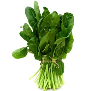 Bayam 'Matador' - 500 g -  Spinacia oleracea - benih
