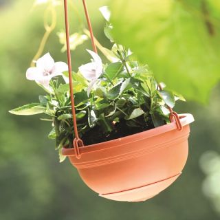 Vaso da fiori sospeso "Stella" ø 22 cm - color terracotta - 