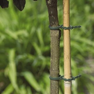 350 mm træ, busk og andre plantebånd - 12 stykker - 