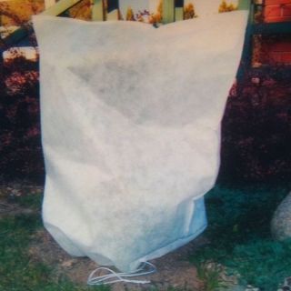 Campana de protección de plantas de invierno - 0.80 x 1.20 m - 2 piezas - 