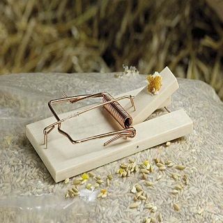 Rattenfalle aus Holz - 
