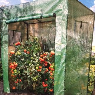 Invernadero de tomate - 200 x 198 x 78 cm - 