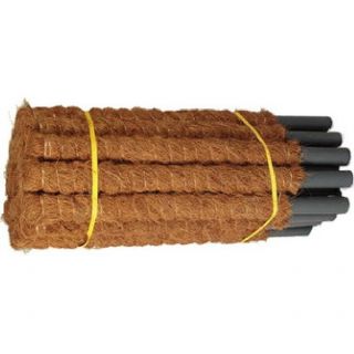 Estaca de soporte para plantas de coco - 25 mm / 40 cm - 