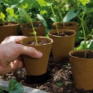 Oale rotunde de turbă ø11 x 13 cm - 100 de bucăți - 