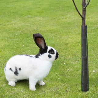 Husă de protecție din polipropilenă - 55 cm - 4 buc - 