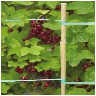 Bird repellent tape - 33 metres