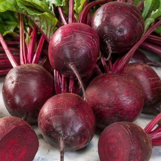 Beetroot - Betina - Early & Reliable Growth, Deep Red, Smooth Flesh - Fresh Seeds