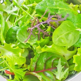 Frunze Semințe legume mixte - Fitness Mix - 