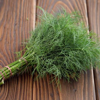 Krapas - Superducat - 2800 sėklos - Anethum graveolens L.