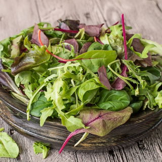 Baby Leaf - savoury lettuce mix
