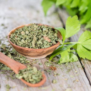 Schnittsellerie 'Green cutting' - ideal für das Trocknen