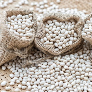 Buah kerdil untuk biji kering 'Laponia' -  Phaseolus vulgaris - Laponia - benih