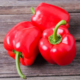 Tatlı biber 'Kaskada' - tünellerde yetiştiriciliği amaçlanan kırmızı çeşidi -  Capsicum annuum - Kaskada - tohumlar