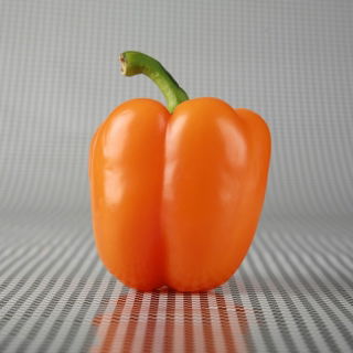 Sweet pepper 'Lamia' - orange variety for cultivation in tunnels and on the field