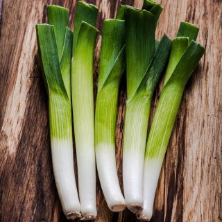 Leek 'Baca' - สายพันธุ์ที่หลากหลายและมีประสิทธิภาพ -  Allium porrum - Baca - เมล็ด