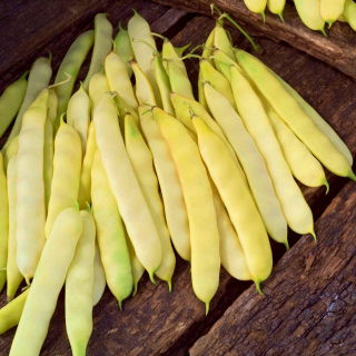 Bonen - Daniela -  Phaseolus vulgaris - Daniela - zaden
