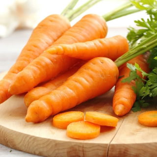 Morcov "Aron F1" - soiuri timpurii - 4250 de semințe - Daucus carota ssp. sativus 