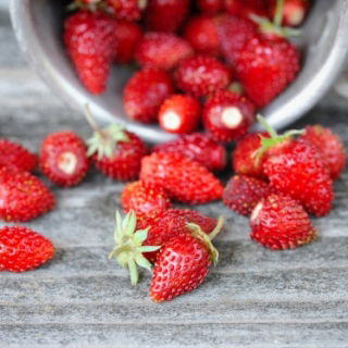Home Garden - Wild strawberry "Attila", trailing variety - for  indoor and balcony cultivation - 330 seeds