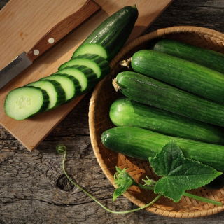 Timun "Saladin F1" - untuk rumah hijau dan di bawah penutup penanaman, buah sehingga 35 cm panjang - 32 biji - Cucumis sativus - benih