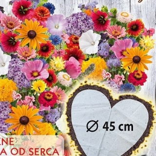 Wild at Heart - tappetino al cioccolato a forma di cuore con eliotropio - 