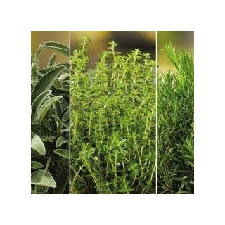 Herbal untuk benih Perawatan Kulit - 3 in 1 -  - biji
