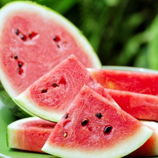 Vandmelon - Mini Love - 5 frø - Citrullus lanatus