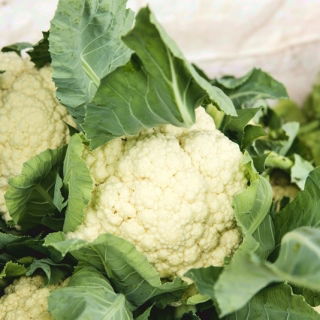 Cavolfiore - Beta - 270 semi - Brassica oleracea L. var.botrytis L.