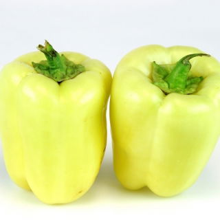 Peperone – Aurora - dolce - 65 semi - Capsicum L.