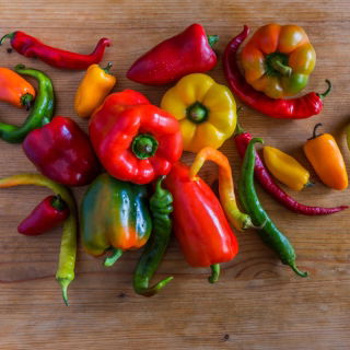Pepper Mix- Set-Nr. 1 - 8 Samen von Paprika