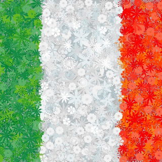 Italienska flaggan - frön av 3 blommande växter "sorter - 