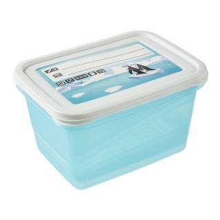 Set 2 wadah makanan persegi panjang - Mia "Polar" - 2 liter - es biru - 