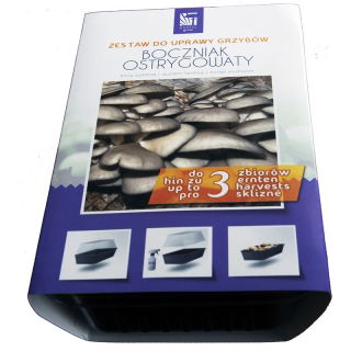 Gírgola - Champiñón ostra - 3 l - Pleurotus ostreatus
