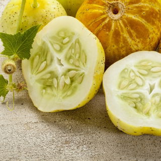 Lămâie Semințe de castravete - Cucumis sativus - Cucumis sativus ‘Citron'