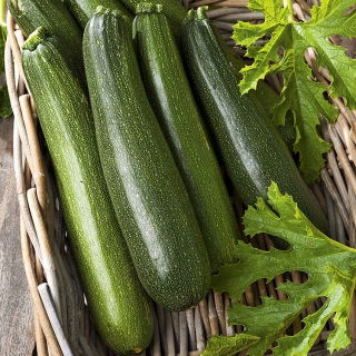 Tikvice Astra Polka sjemenke - Cucurbita pepo - 21 sjemena