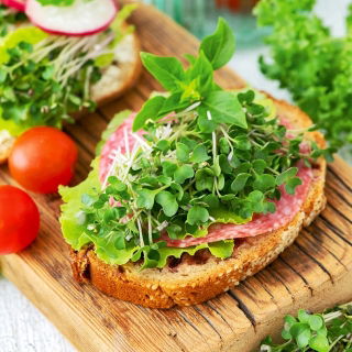 Microgreens - Brokkoli - Zarter Geschmack, nährstoffreicher Genuss - Samen